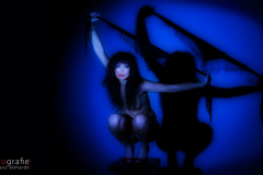 Erotikxcx