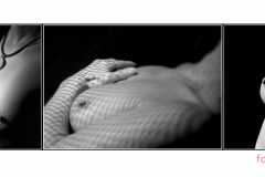 ein leiser Sieg, das Leben ist ein Geschenk so wie dieses Bild ein Geschenk sein wird…