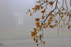 Gotha-2734-Park-Herbst-klein