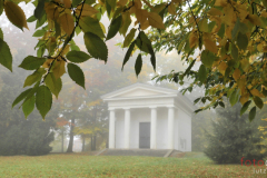 ...Gothaer Schlosspark im Nebel...