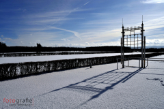 Pferderennbahn Boxberg im Winterkleid